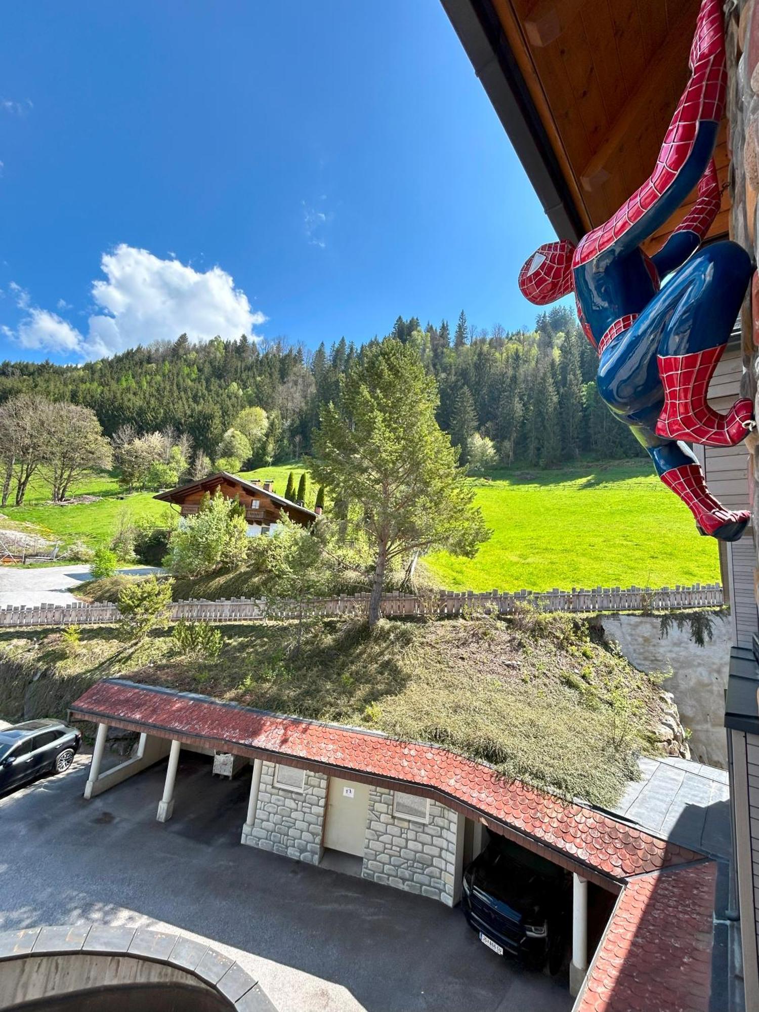 Weitenmoos Panorama Apartments Sankt Johann im Pongau Esterno foto
