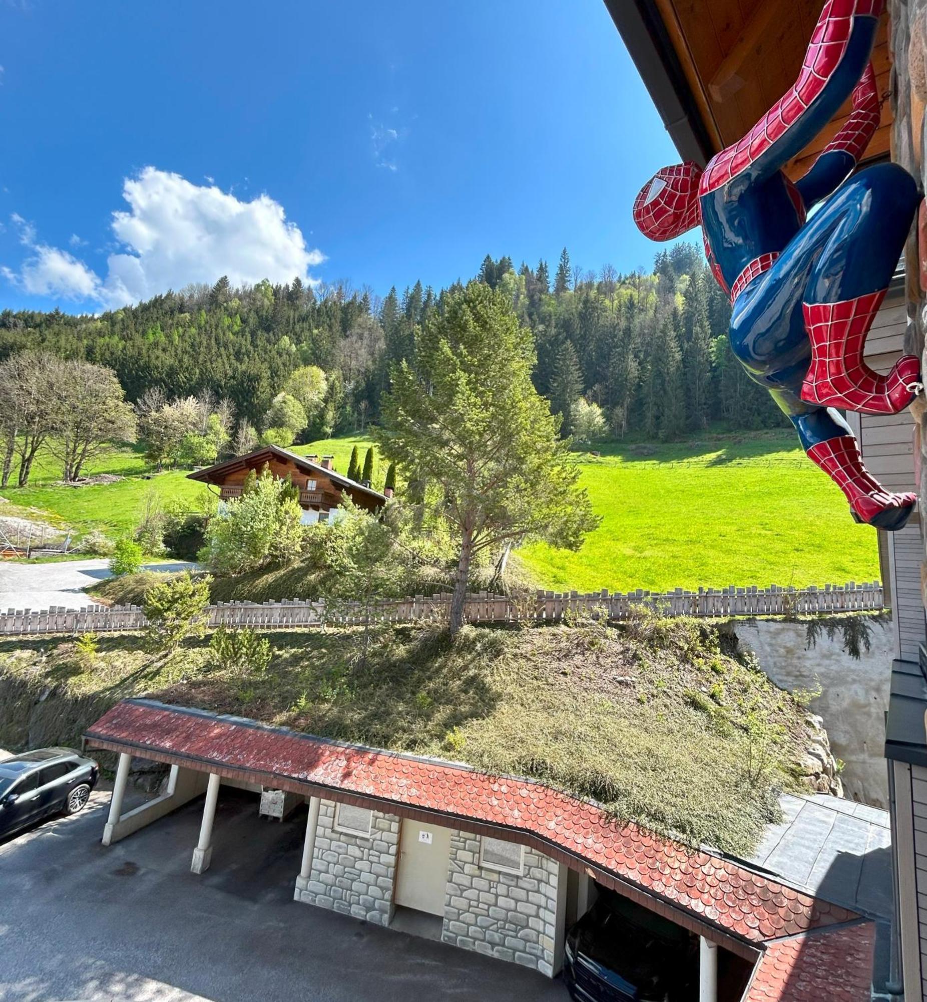Weitenmoos Panorama Apartments Sankt Johann im Pongau Camera foto