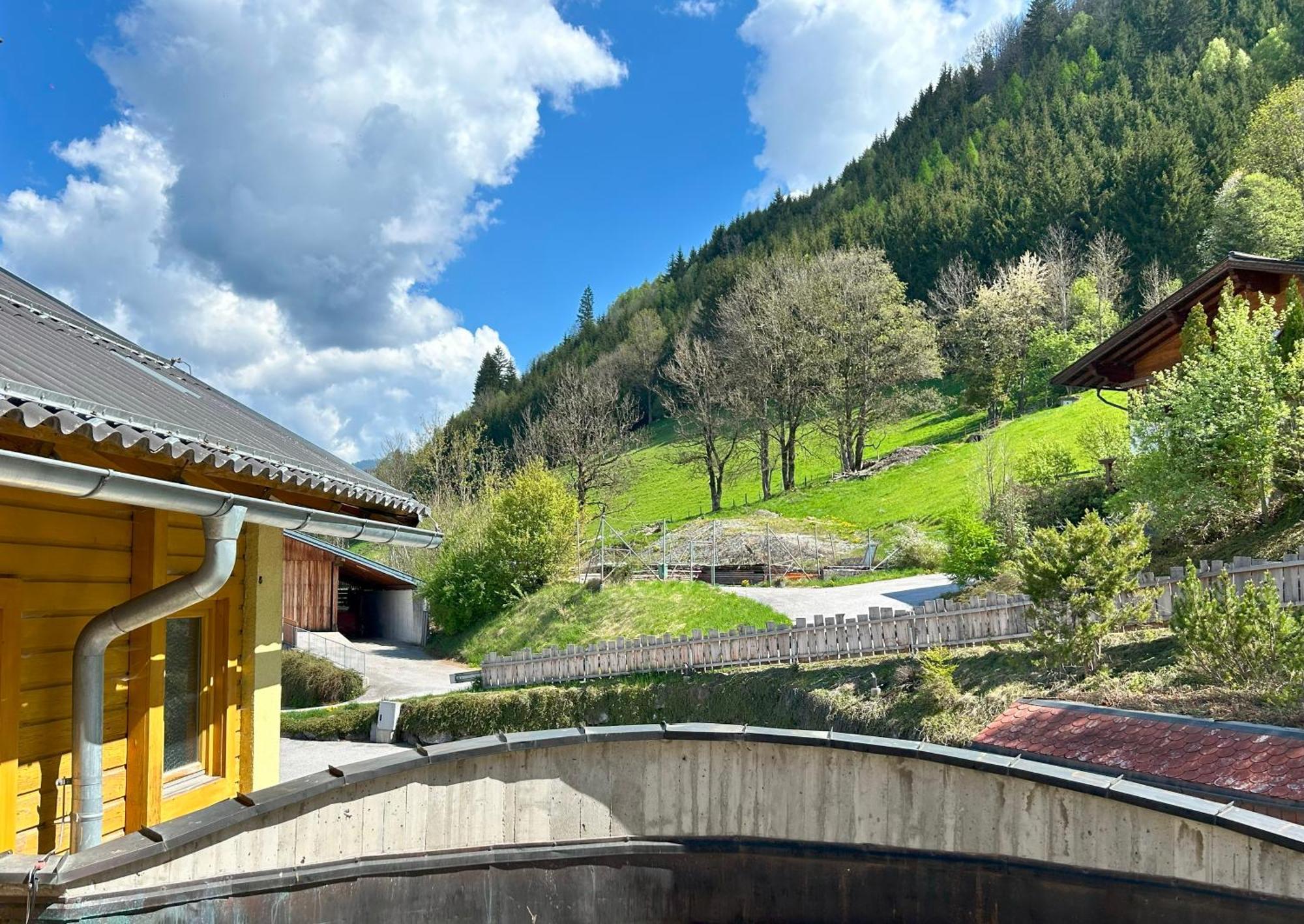 Weitenmoos Panorama Apartments Sankt Johann im Pongau Camera foto